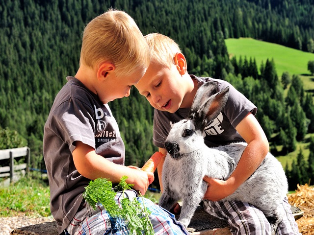 bambini e conigli