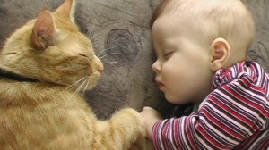 foto-bambino-che- dorme-con-gatto