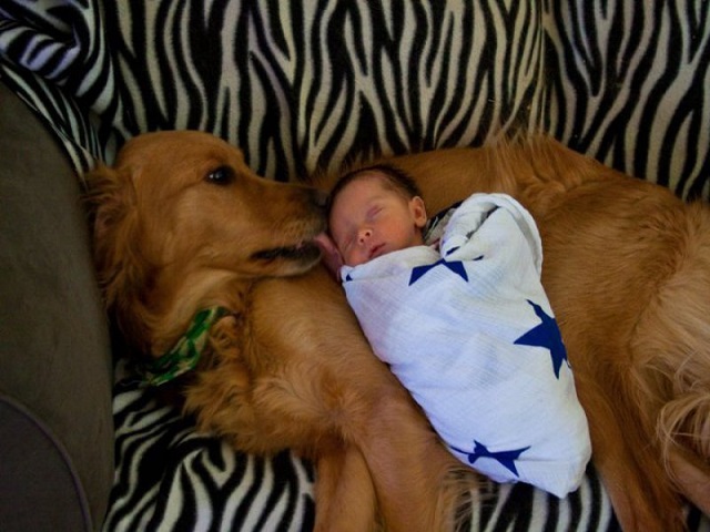 neonato e cane