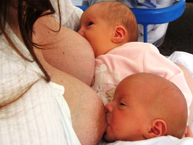 foto_allattare gemelli