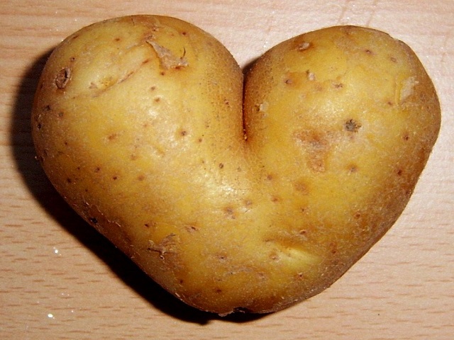 foto_patate