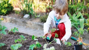 foto_coltivare orto con bambini