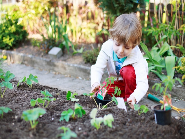 foto_coltivare orto con bambini