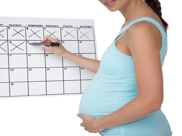 calcolo gravidanza