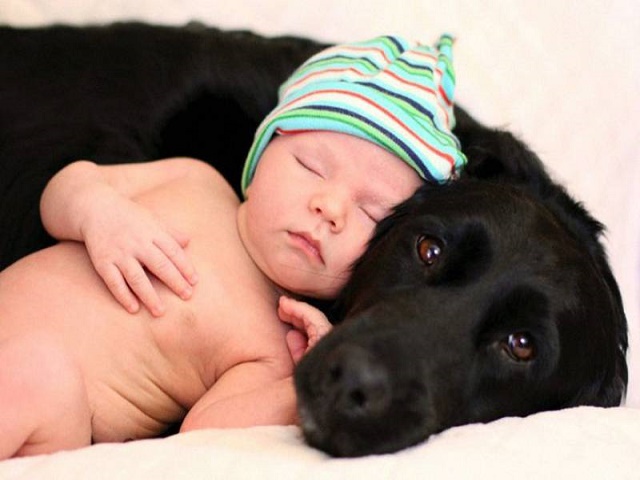 cani e neonati