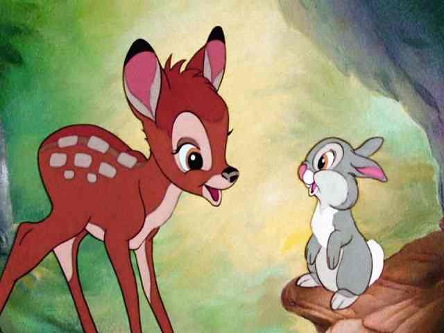 foto bambi