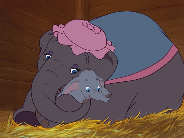 foto Dumbo e mamma 