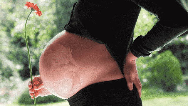 foto gravidanza donna incinta fiore