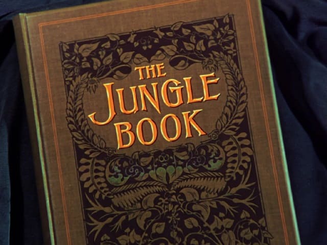 foto il libro della giungla differenze libro cartone