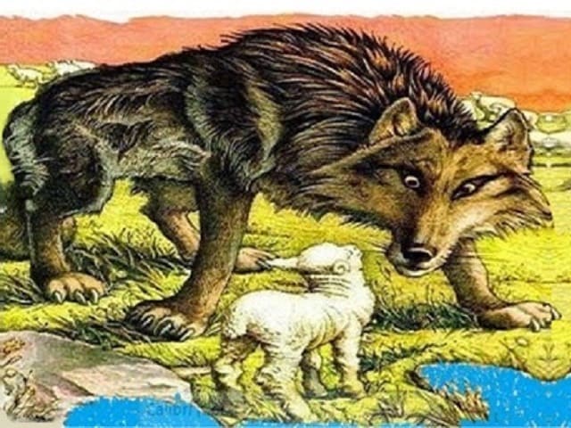 foto il lupo e l'agnello