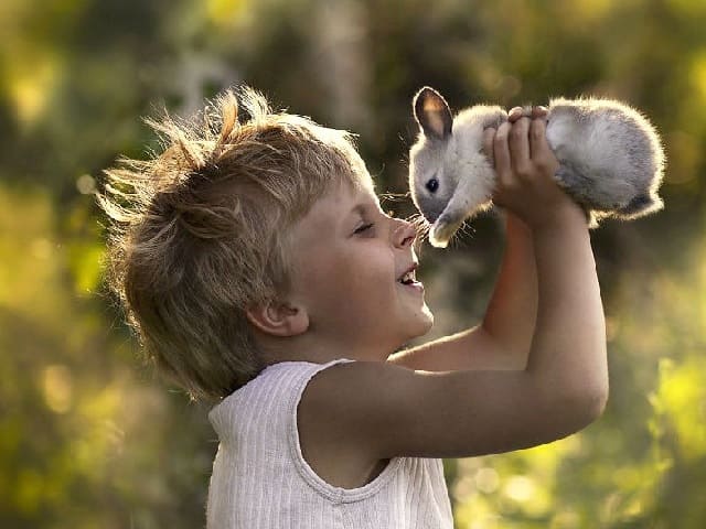 Foto immagini animali e bambini