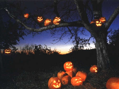 foto di halloween